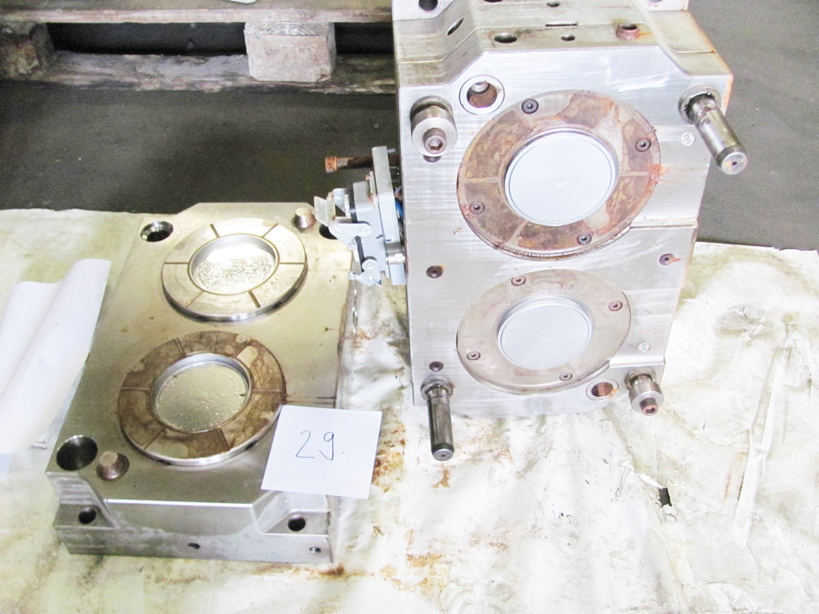 Deckel Petri Schale D 103